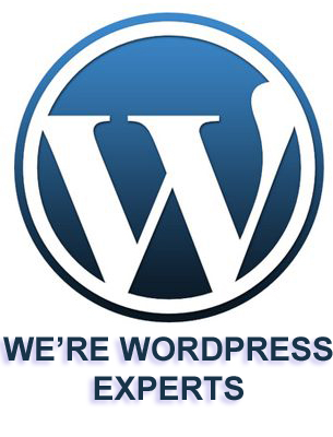 WE'RE WORDPRESS EXPERTS!