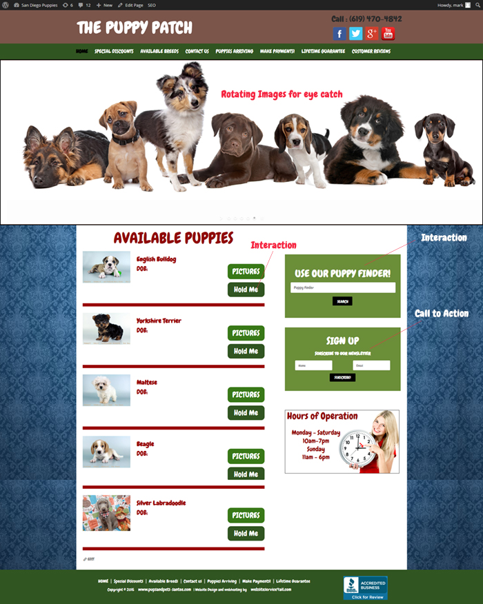 Pet Store Websites
